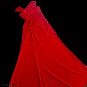 Calvin Klein Red Full Length Formal